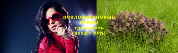 apvp Коряжма