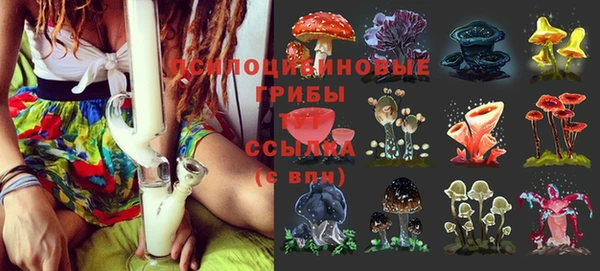 кокс Корсаков