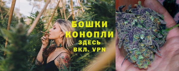apvp Коряжма