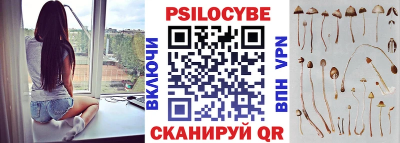 Псилоцибиновые грибы MAGIC MUSHROOMS  закладка  blacksprut вход  Майкоп 