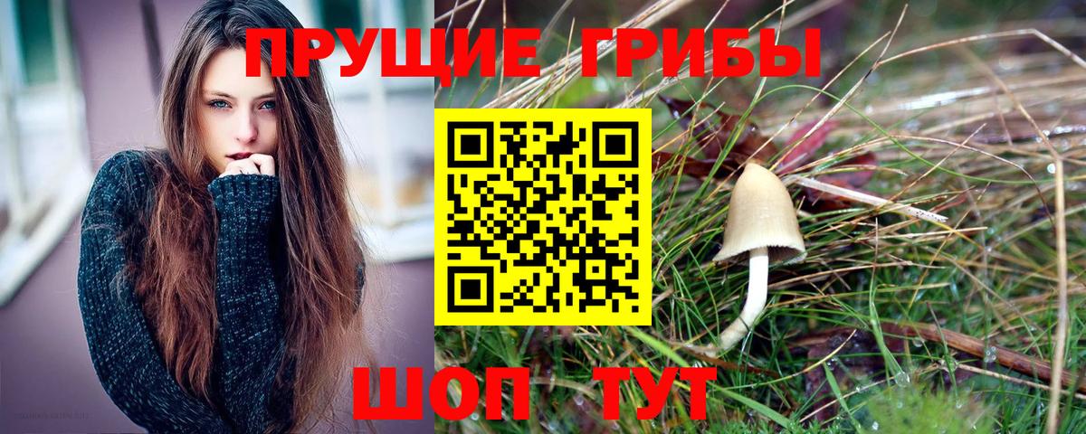 Псилоцибиновые грибы GOLDEN TEACHER  Псилоцибиновые грибы Psilocybine cubensis  Вход с VPN  Майкоп 